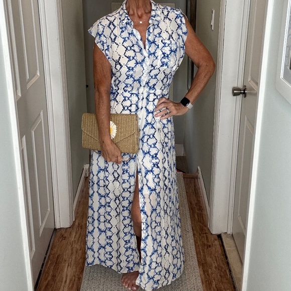 Rebecca Taylor Silk Maxi Dress Button Front Short Flutter Sleeve Blue White Sz 8 - Picture 16 of 16